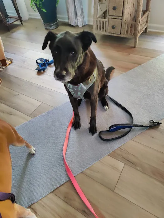 Lantana Veterinary Center Picture 7