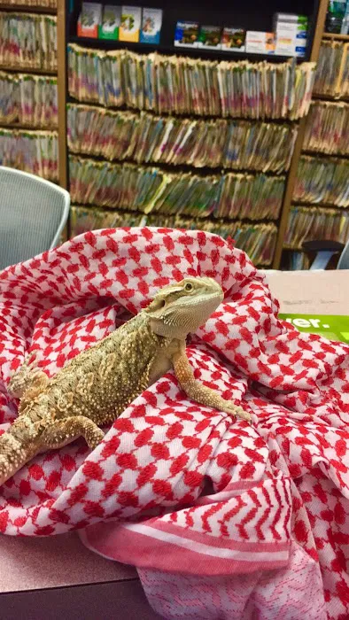 Lantana Veterinary Center Picture 10