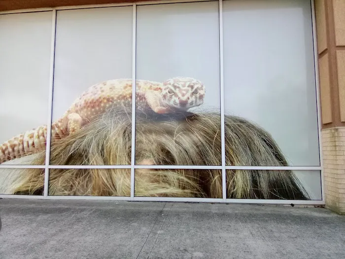 Petco Picture 1