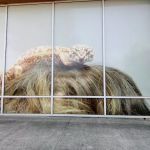 Petco