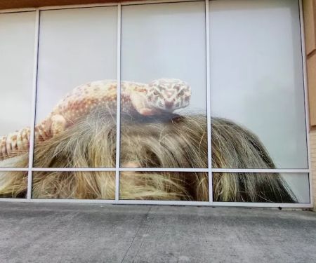 Petco