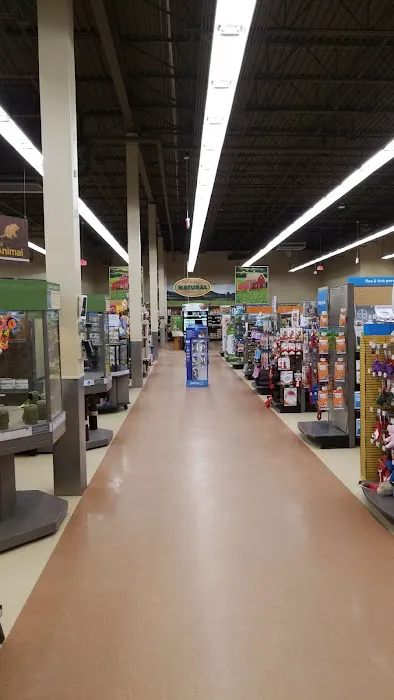 Petco Picture 3