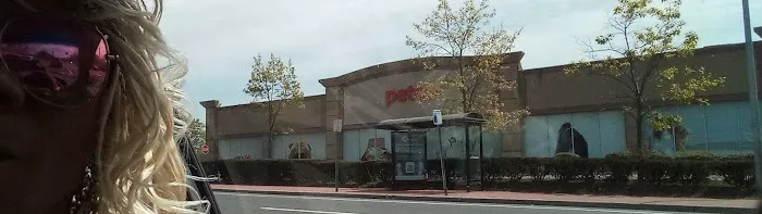 Petco Picture 2