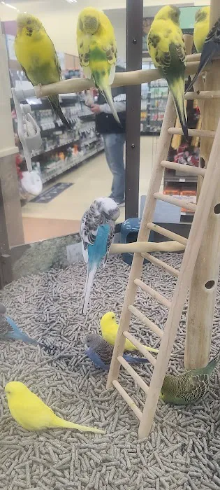 Petco Picture 7