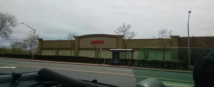 Petco Picture 10