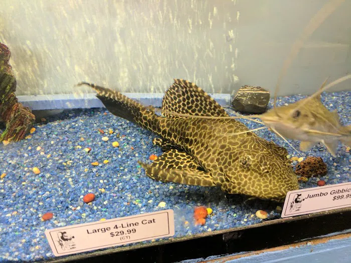 Brian's Tropical Aquarium & Pets Picture 3