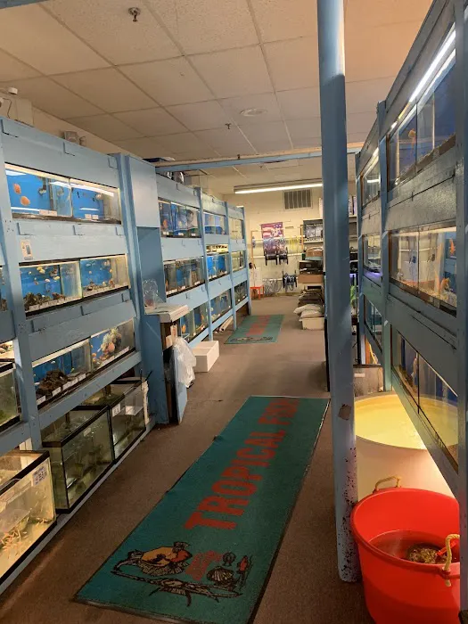 Brian's Tropical Aquarium & Pets Picture 5