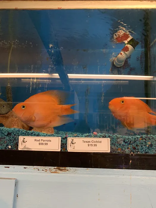 Brian's Tropical Aquarium & Pets Picture 4