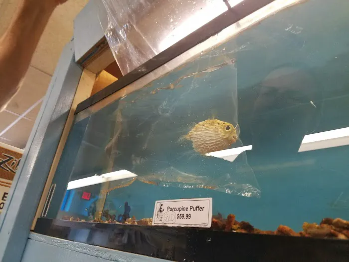 Brian's Tropical Aquarium & Pets Picture 6