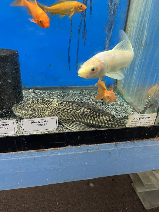 Brian's Tropical Aquarium & Pets Picture 10