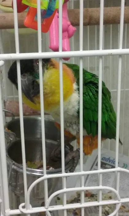 Brian's Tropical Aquarium & Pets Picture 8
