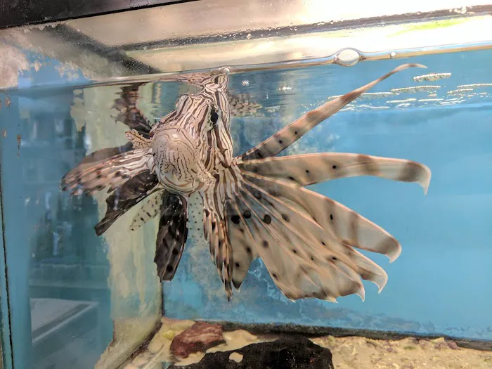 Brian's Tropical Aquarium & Pets Picture 9