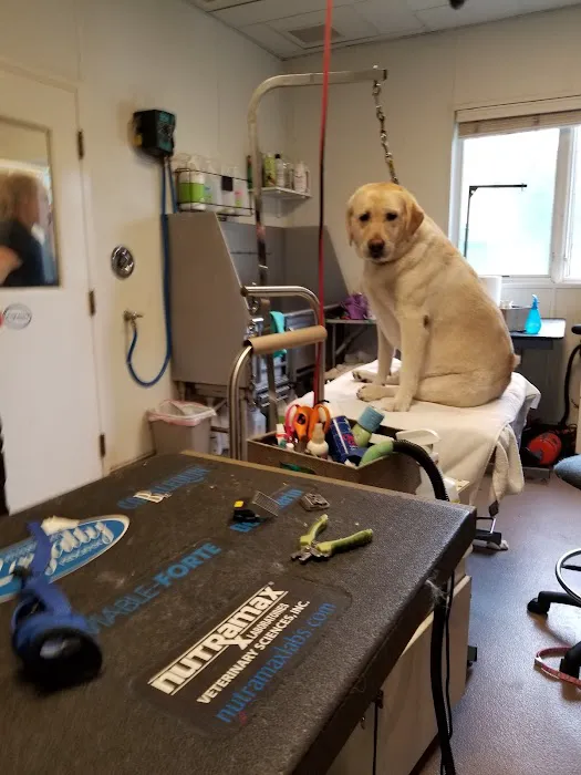 Limestone Veterinary Hospital Picture 5