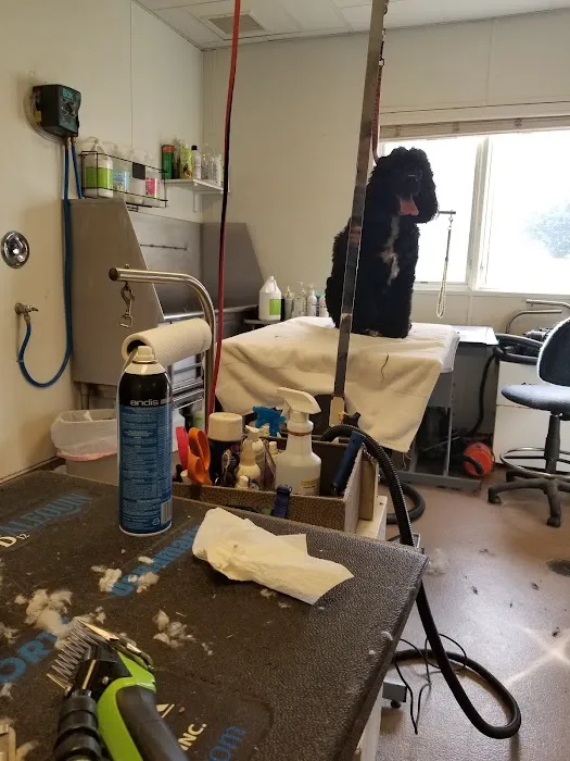 Limestone Veterinary Hospital Picture 7