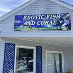 Exotic Fish & Corals