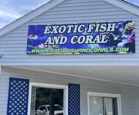 Exotic Fish & Corals