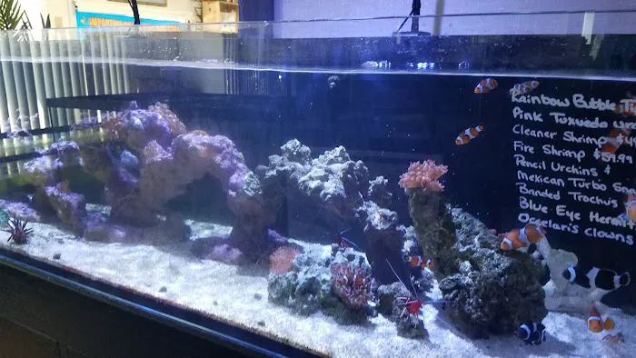 Exotic Fish & Corals Picture 2
