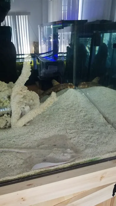 Exotic Fish & Corals Picture 5