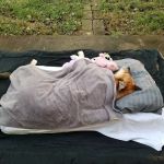 House Call Pet Doctor