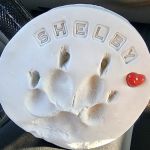 Walnut Hill Veterinary Clinic