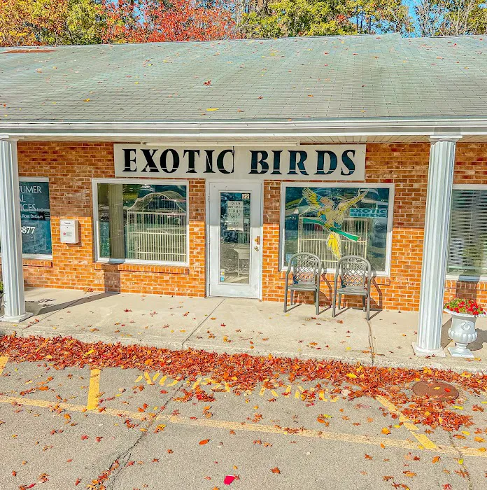 Exotic Birds By Windsong Picture 3