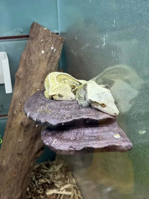 PET ZONE Picture 1