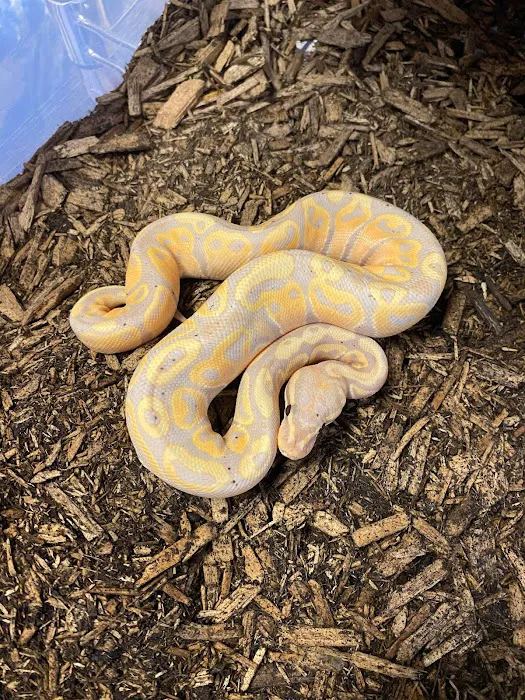 PET ZONE Picture 3