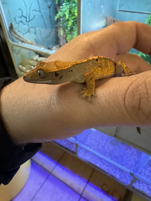 PET ZONE Picture 2
