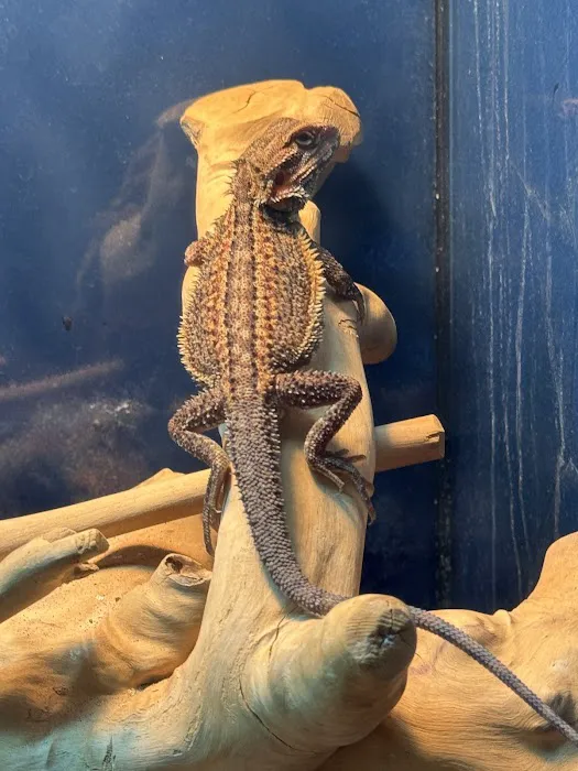PET ZONE Picture 5