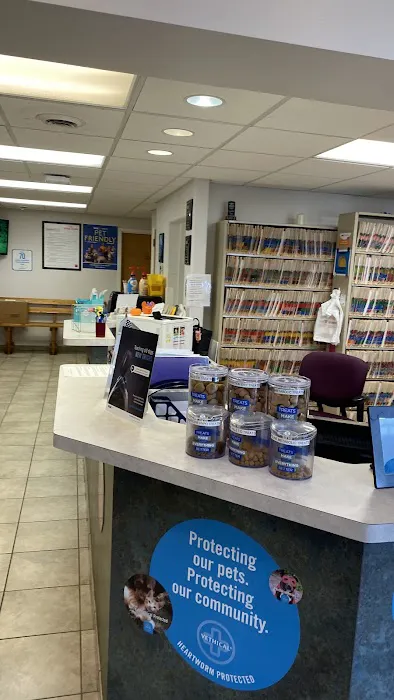 VCA Kirkwood Animal Hospital Picture 2