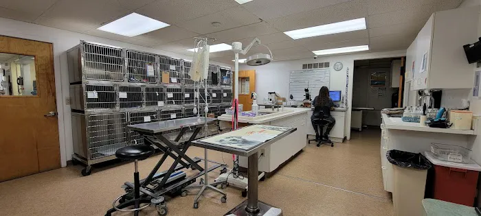 VCA Kirkwood Animal Hospital Picture 7