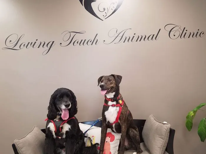 Loving Touch Animal Clinic Picture 1