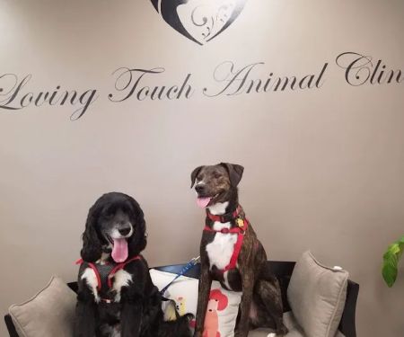 Loving Touch Animal Clinic