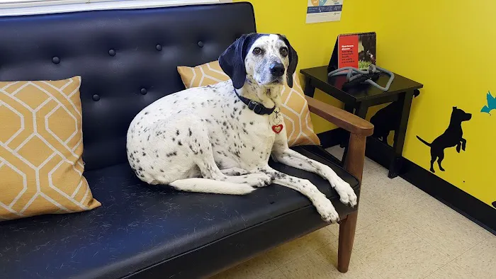 Loving Touch Animal Clinic Picture 6