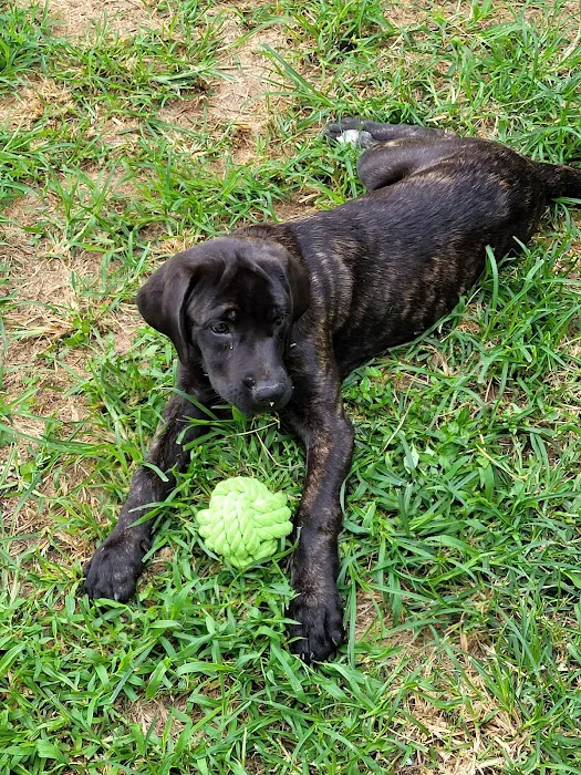 Animal Veterinary Center Picture 1