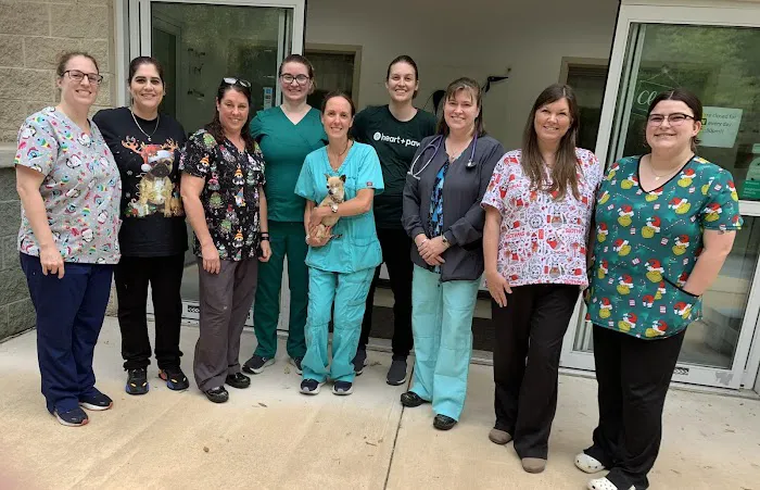 Animal Veterinary Center Picture 3