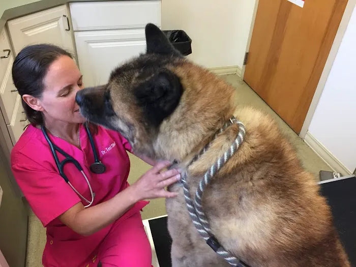 Animal Veterinary Center Picture 5