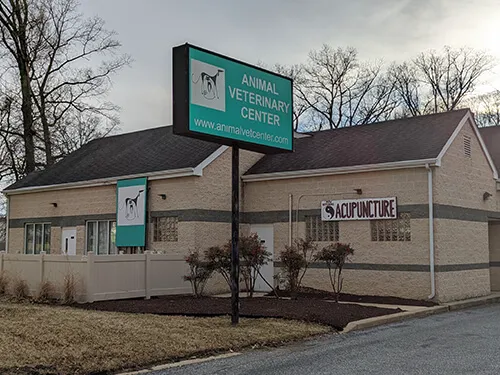 Animal Veterinary Center Picture 10