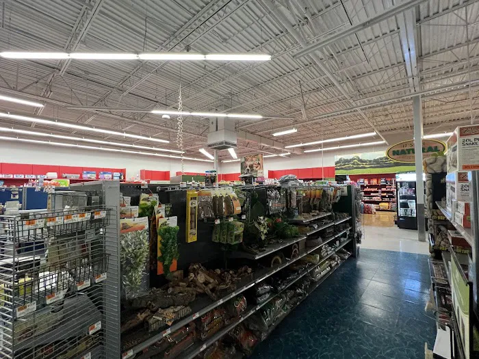 Petco Picture 5