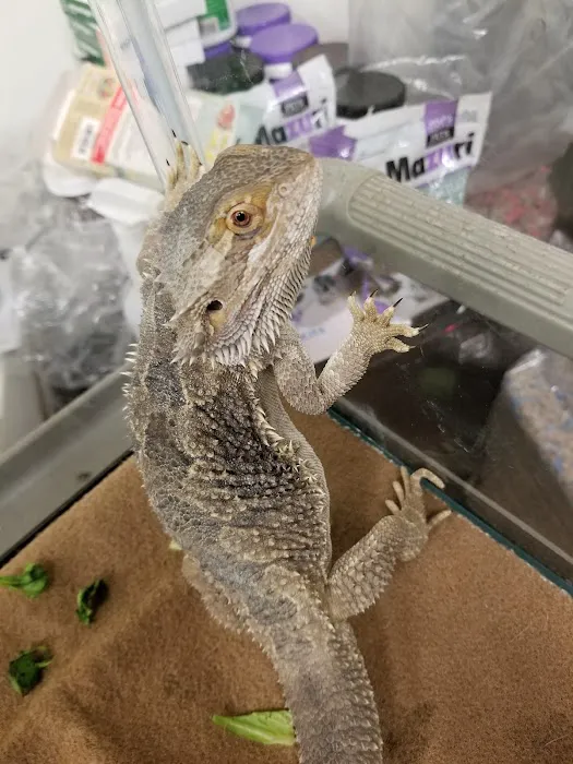 Petco Picture 5