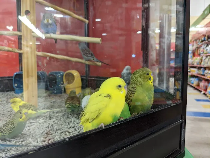 Petco Picture 4