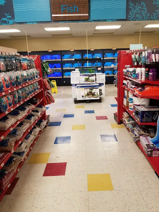 Petco Picture 8