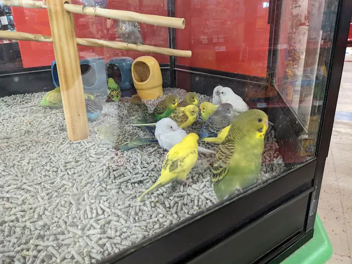 Petco Picture 7