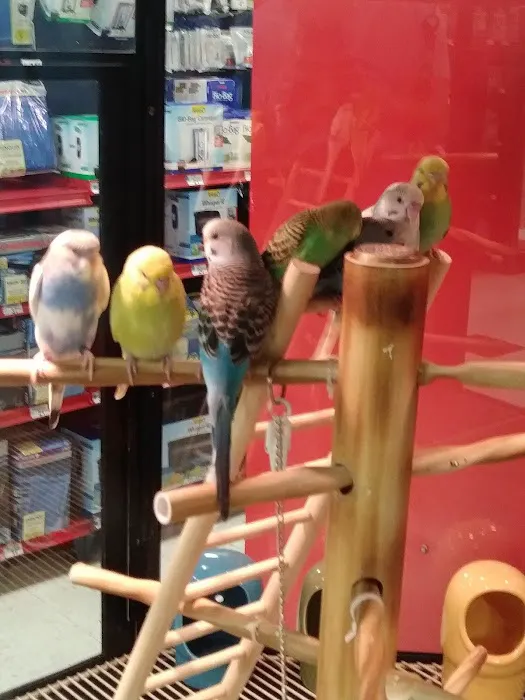 Petco Picture 10