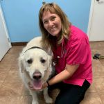 Animal Haven Veterinary Center