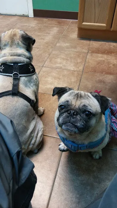Animal Haven Veterinary Center Picture 8