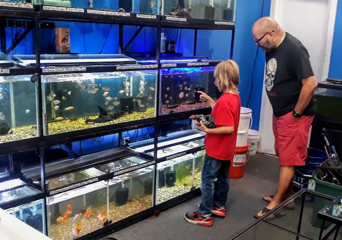 The Fish Tank Guy Inc Picture 1