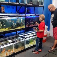 The Fish Tank Guy Inc ico