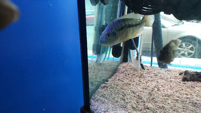 The Fish Tank Guy Inc Picture 3
