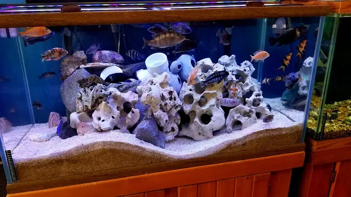 The Fish Tank Guy Inc Picture 4
